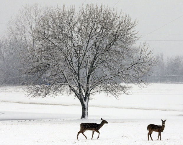 Winter Weather Storm